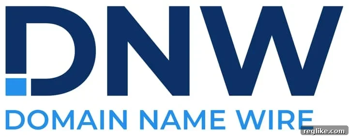 Domain Name Wire's new logo, featuring 'DNW' in a modern navy font with a light blue square accenting the 'D', positioned above the full 'Domain Name Wire' text, symbolizing a fresh digital identity.