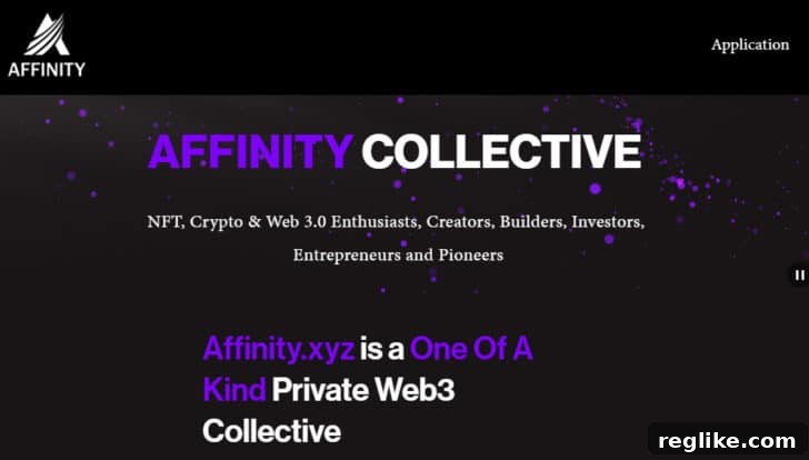 Five-Figure Success: 18 Developed .XYZ Domains Sold This Year 12 Affinity.xyz website for the Affinity Collective, showcasing NFTs and promoting a private, high-level Web3 community.