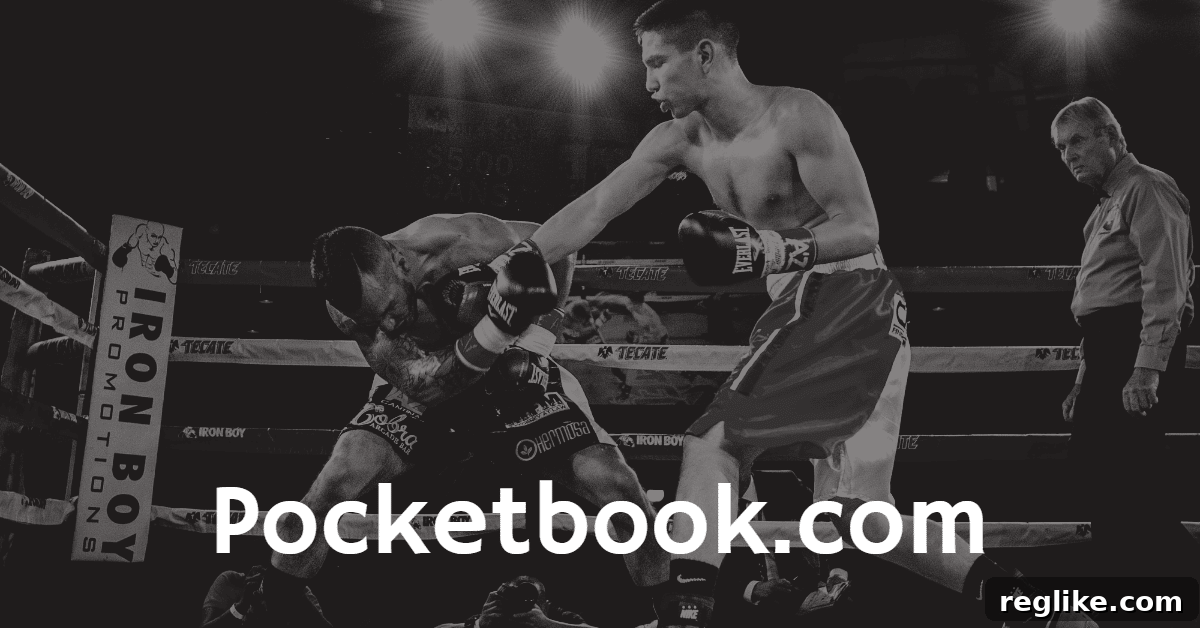 Two boxers fighting, with one going into a defensive position, symbolizing a legal victory in a domain dispute