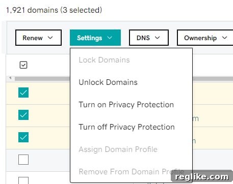 Secure Your Information with GoDaddy Whois Privacy 4 GoDaddy domain control panel with option to opt out of Whois privacy