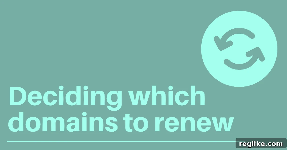 My $8,692.71 Domain Renewal Bill: How I Trimmed the Fat 2 The words "deciding which domains to renew" and two circular arrows on a mint green background, symbolizing a continuous renewal process.