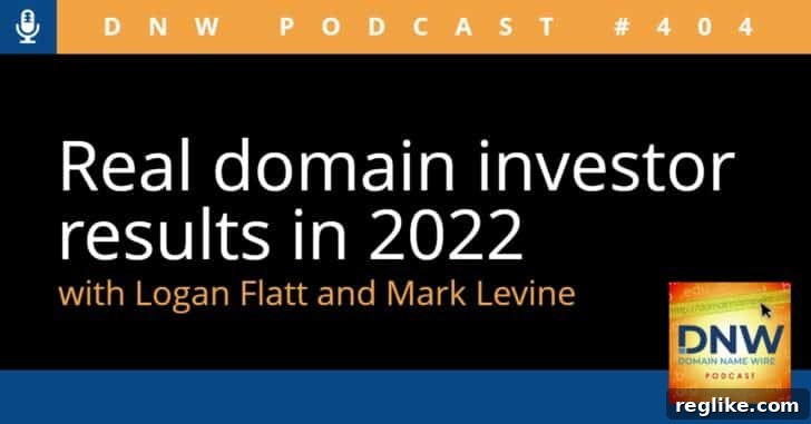 Actual Domain Investor Returns from 2022 2 The words "Real domain investor results in 2022" on a black background