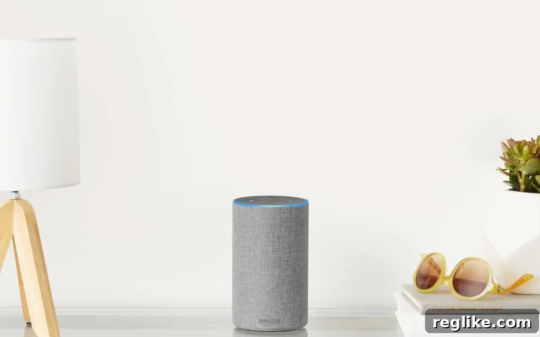 Picture of gray Amazon Echo device on a table. A lamp is to the left and some books with sunglasses and a plant on them are to the right. 