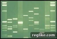 DNA 11 Owns the Category with its Defining Domain Name