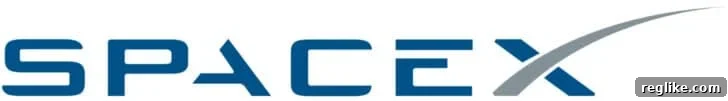 Mexican Company Wins Starlink Domain Battle Against SpaceX 2 Logo for SpaceX has the word spacex in stylized font