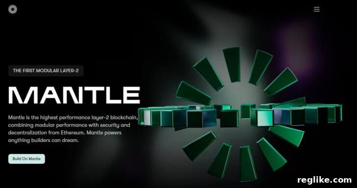 20 High-Value .xyz Domains Launched This Year 15 Mantle.xyz home page screenshot