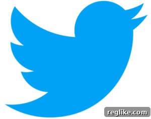 Elon Musk's Wake-Up Call: Get Your Own Domain 2 Twitter logo with blue bird