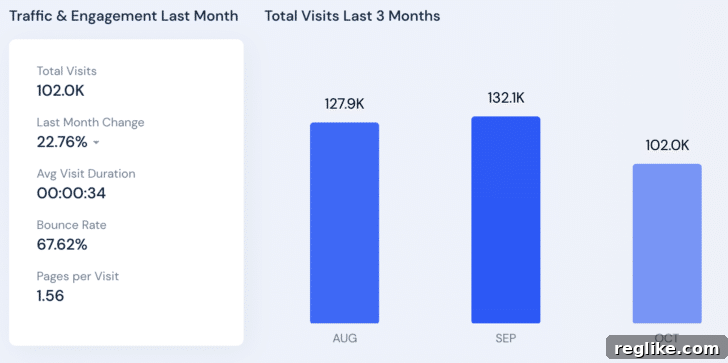 From Free Streams to Six Figures: The PutLockercom Story 2 PutLocker dot com on SimilarWeb