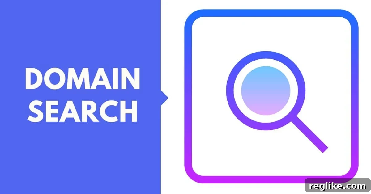 Domain Search with Magnifying Glass