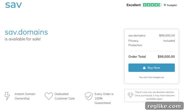 GoDaddy Alternatives: Exploring Options Beyond the Giant 2 Sav.com domain for sale landing page example
