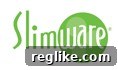 Slimware: The Power of a Perfect Domain Match Slimware logo and brand identity, emphasizing the importance of matching domain names with brand names.