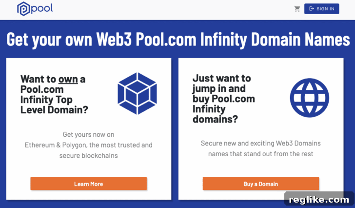 Pool.com home page offering web3 domain names, showcasing the new 'Pool Infinity Domain' branding and services.