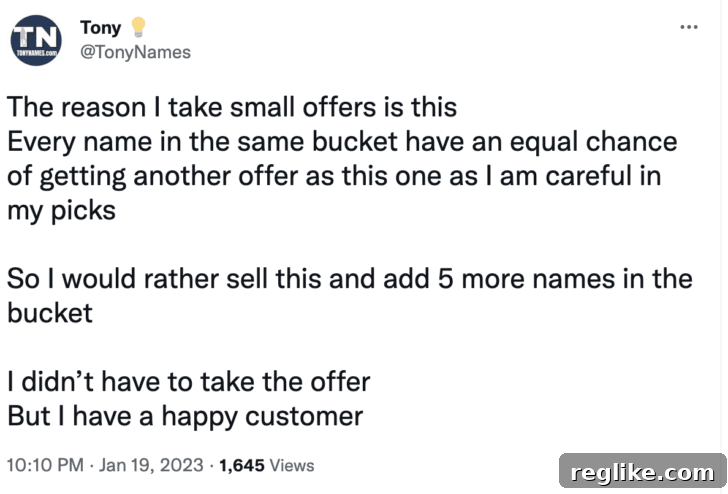 Current Offer vs. Future Prospects: The Seller's Tough Call 3 Tweet from @tonynames: The reason I take small offers is this Every name in the same bucket have an equal chance of getting another offer as this one as I am careful in my picks So I would rather sell this and add 5 more names in the bucket I didn’t have to take the offer But I have a happy customer