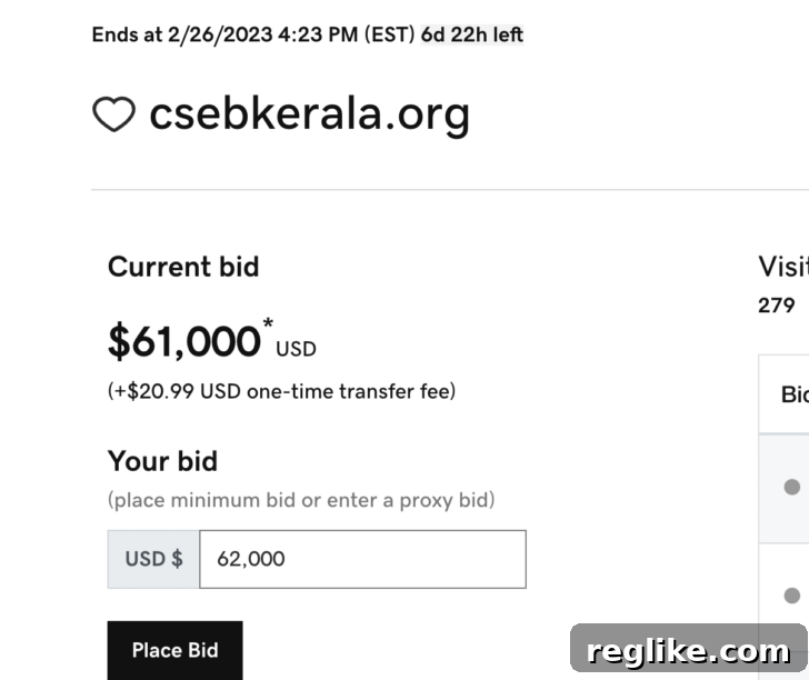 Screenshot showing a GoDaddy auction for CSEBKerala.org with a bid of $61,000.