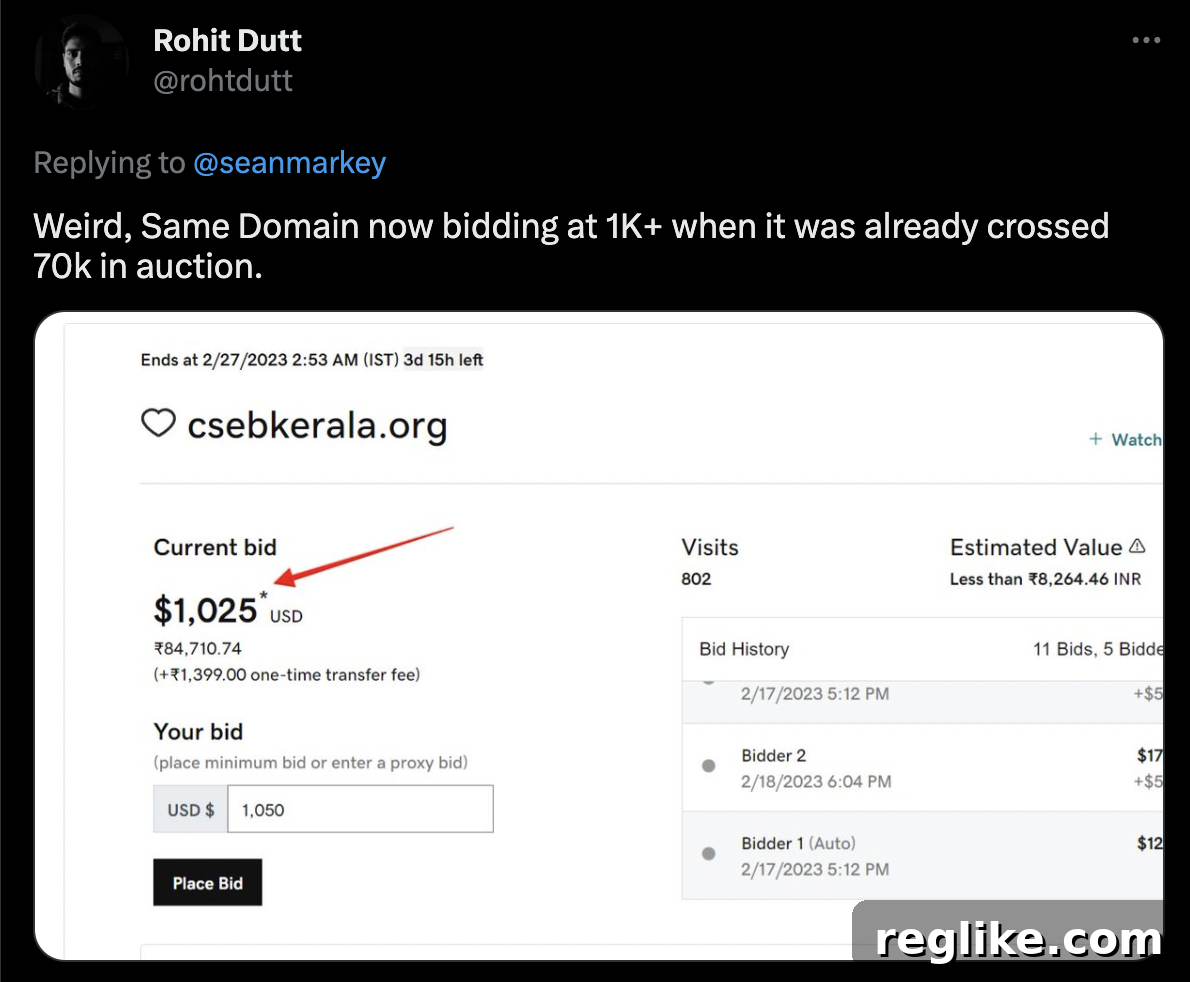 Screenshot of a Twitter conversation revealing the domain auction price reset due to fraudulent bids.
