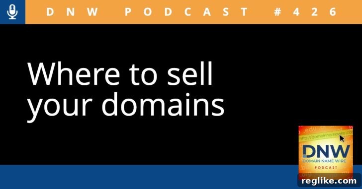 Where to Sell Your Domains - DNW Podcast #426