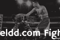 Fieldd.com Dispute Nothing Adds Up