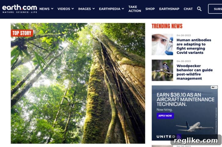 Earth.com Collapses Under 5 Million Dollar Domain Debt 2 Earth.com home page