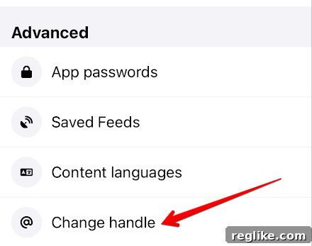 Your Domain, Your BlueSky Handle: The Easy Setup Guide 3 BlueSky settings with a red arrow pointing to "change handle"