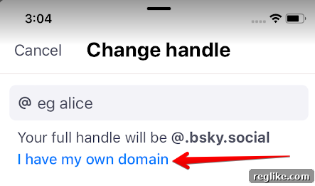 Your Domain, Your BlueSky Handle: The Easy Setup Guide 4 BlueSky Change Handle screen with red arrow pointing to "I have my own domain"