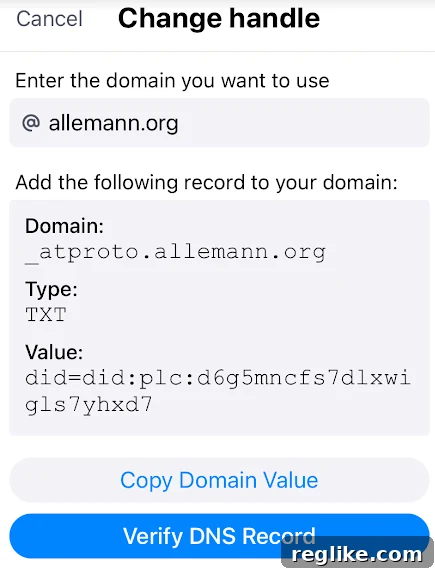 Your Domain, Your BlueSky Handle: The Easy Setup Guide 5 BlueSky Change Handle screen with TXT record DNS info