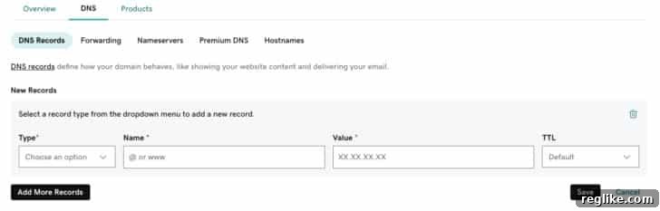 Your Domain, Your BlueSky Handle: The Easy Setup Guide 6 GoDaddy DNS change screen