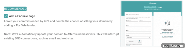 GoDaddy Streamlines Parked Domain Sales 2 GoDaddy option to point "for sale" domains to landing pages