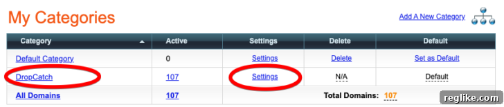Auto-Route Dropcatch Domains to Your Sales Listings 2 Image of NameBright categories setting