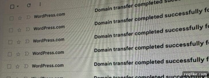Google Domains'ten WordPress'e 44.000 Alan Adı Akını 2 Screenshot of email inbox showing WordPress.com transfer verifications
