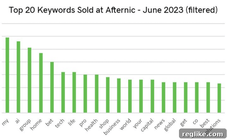 AI and Bet Dominate Secondary Domain Market 2 Afternic's Top Keywords in June with May Ranking Comparison: my (#2 in May), ai (1), group (3), home (8), bet (5), tech (9), life (7), pro (10), health (4), shop (17), business, world, your (16), capital, news, global (12), get (18), co, best (15), solutions (6).