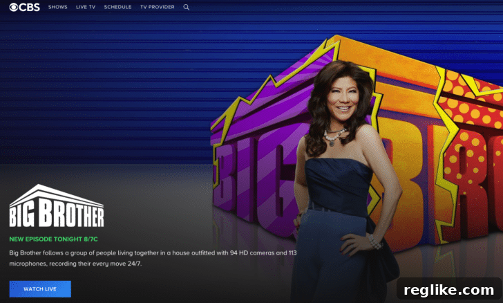 CBS abandons new TLD ambitions 2 CBS.com Screenshot Featuring Big Brother