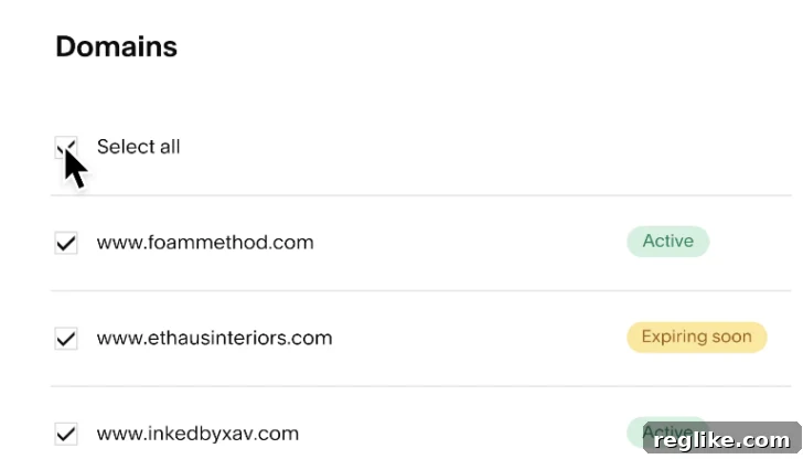Squarespace Elevates Domain Services Following Google Domains Deal 2 Squarespace bulk domain management screenshot