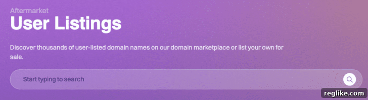 Dynadot Marketplace search box showcasing expanded inventory capabilities.