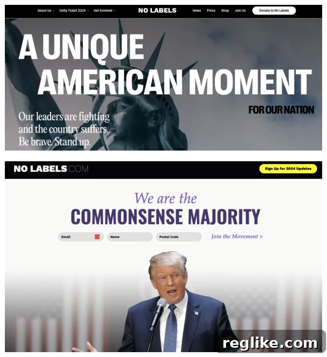 No Labels Party Fights Cybersquatting 2 The official No Labels website (top) and the confusing NoLabels.com website (bottom), illustrating the domain dispute.