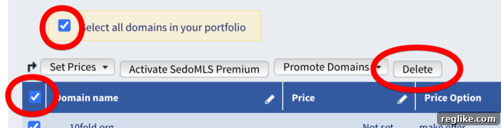 Sedo account interface for deleting domains