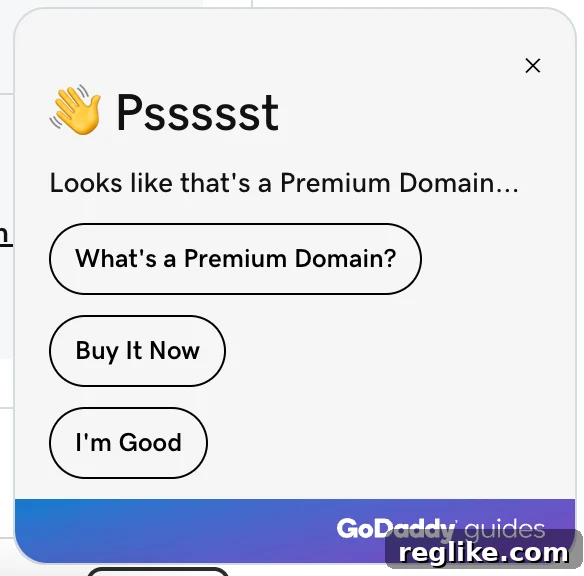 Decoding GoDaddy's Premium Domain Presentation: 3 Key Insights 4 GoDaddy support help