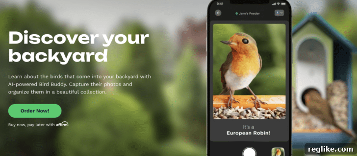 End-User Domain Acquisitions Reach $50K 2 Bird Identification at a Bird Buddy Feeder