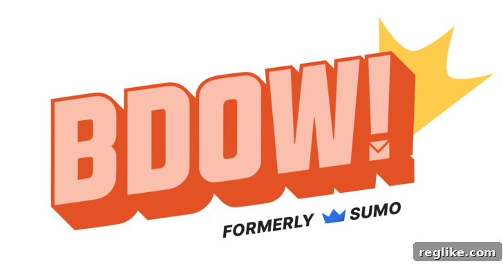 Sumo's Surprising Switch: A New Identity Emerges 2 Logo for BDOW! The new brand identity
