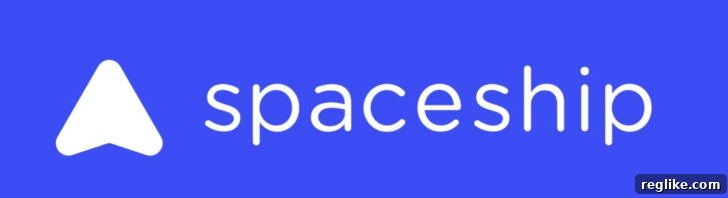 Spaceship Domain Registrar Logo