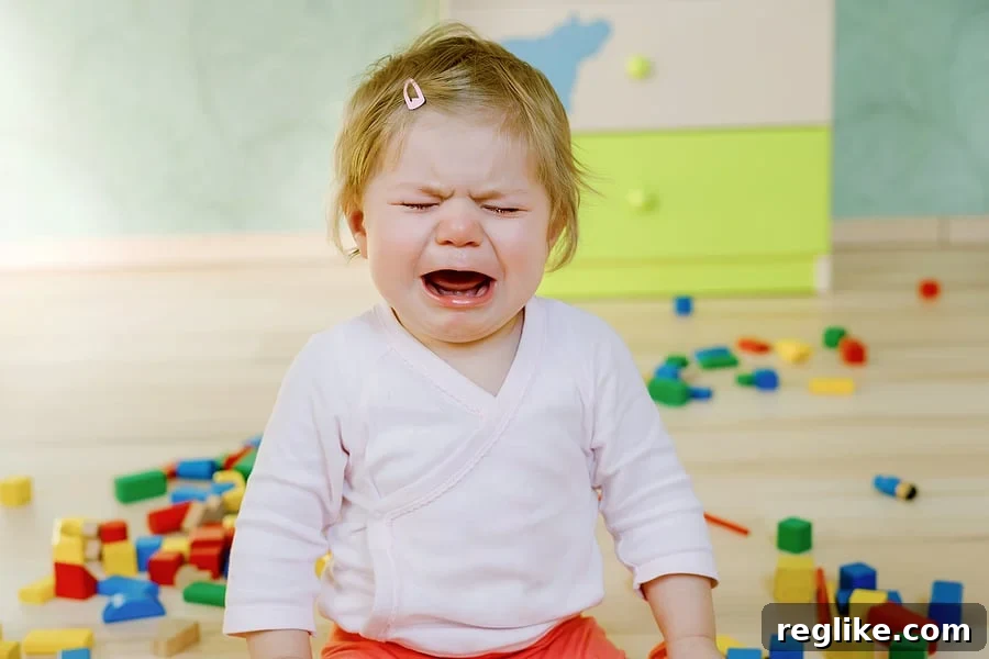 Seattle Childcare Firm Accused of Domain Hijacking 2 Baby crying on a floor with toys