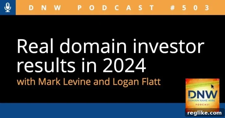 2024 Domain Investing: Actual Performance Revealed 2 The bold words "Real Domain Investor Results in 2024" on a striking black background, emphasizing transparent insights into the dynamic domain market.