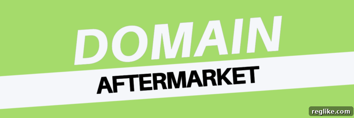 The Domain Sales Arena: A Sudden Surge in Competition 2 Domain Aftermarket Landscape