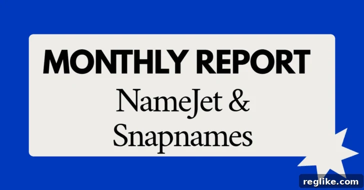 Monthly Report NameJet & SnapNames: An illustration representing domain sales reports from Newfold Digital platforms.