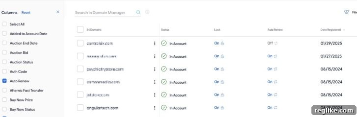 Sav Redefines Digital Experience with Enhanced Account Management and a Modern Site 2 Sav's New Domain Management Console - Streamlined Interface for Easy Control and Bulk Updates