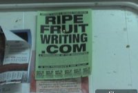 Domain Deep Dives from a San Francisco Laundromat