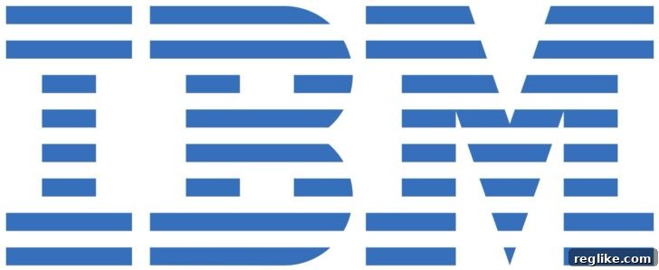 Ohio Firm's Play for IBM's Domains 2 Stylized IBM logo