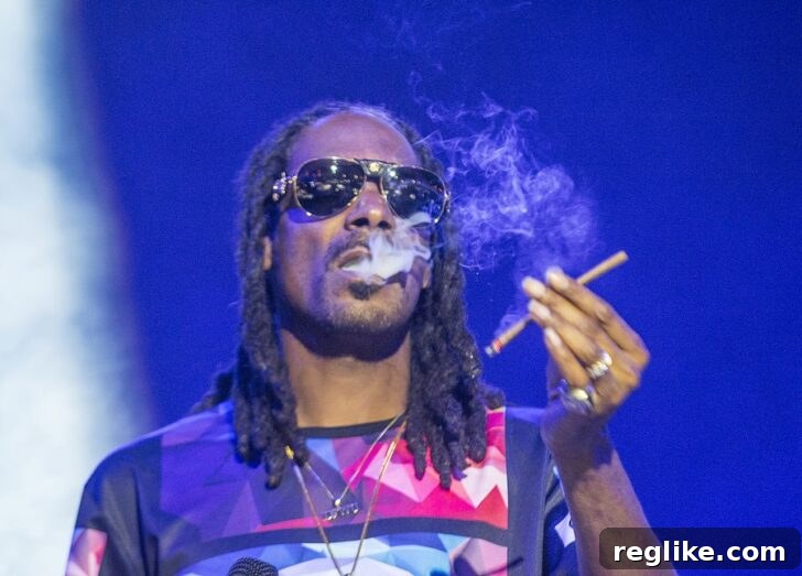 Snoop Dogg's Unstoppable Domain Spree 2 Snoop Dogg on stage at a concert.