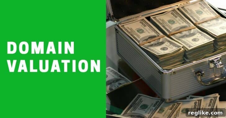 Afternic AI Pricing Insights Use Your Judgment 2 Domain Valuation next to a briefcase full of money, visually representing the significant value and potential returns of well-priced domain assets in the digital economy.
