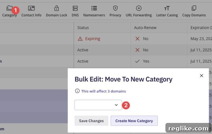 Export NameBright Authorization Codes in Volume 2 Namebright categorization process