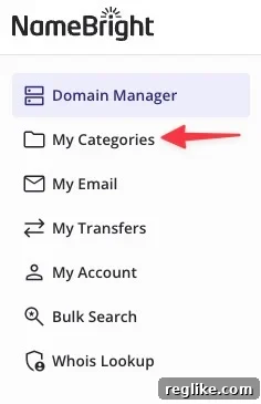 Export NameBright Authorization Codes in Volume 3 NameBright control options